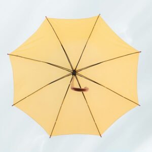 Compact Umbrella